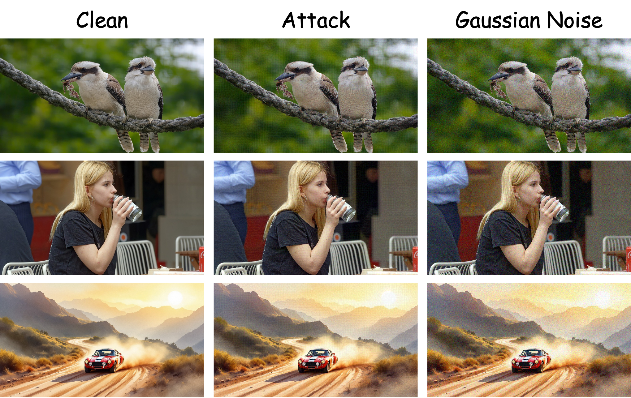 Qualitative image examples showing clean inputs and adversarial perturbation results